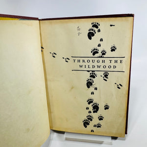 Book Trails: Through the Wildwood Volume 3 1946 Child Development Illustrated Hardcover