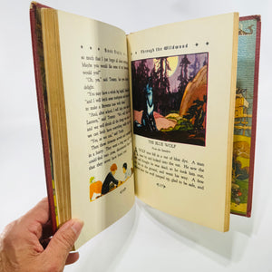 Book Trails: Through the Wildwood Volume 3 1946 Child Development Illustrated Hardcover