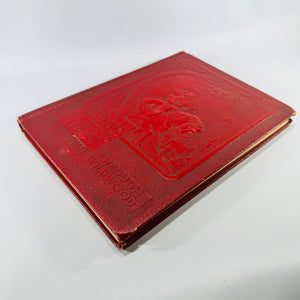 Book Trails: Through the Wildwood Volume 3 1946 Child Development Illustrated Hardcover