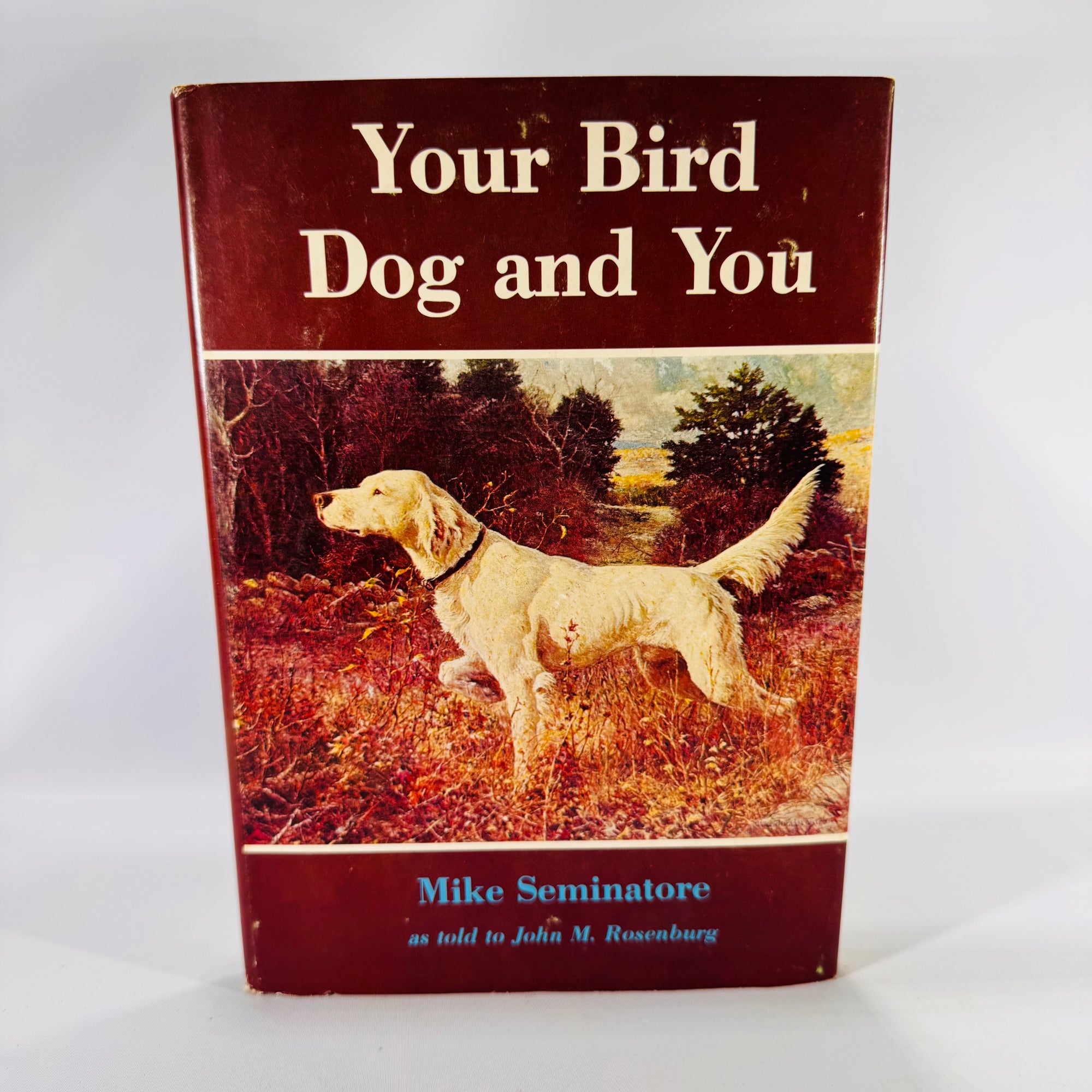 Your Bird Dog and You by Mike Seminatore (1977, Hardcover with Dust Jacket)