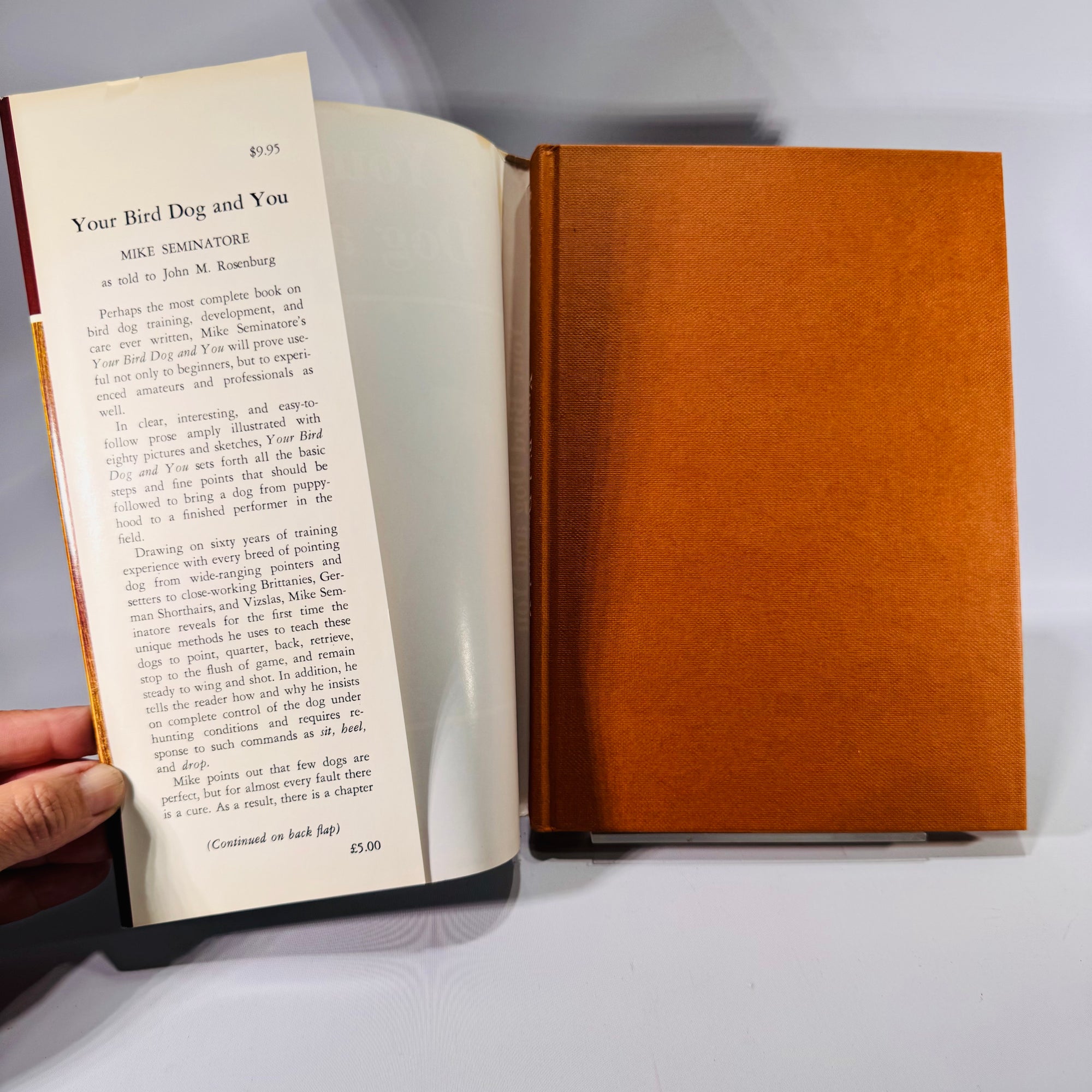 Your Bird Dog and You by Mike Seminatore (1977, Hardcover with Dust Jacket)