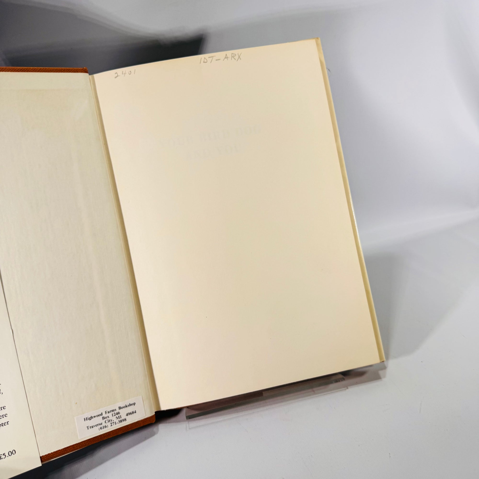 Your Bird Dog and You by Mike Seminatore (1977, Hardcover with Dust Jacket)