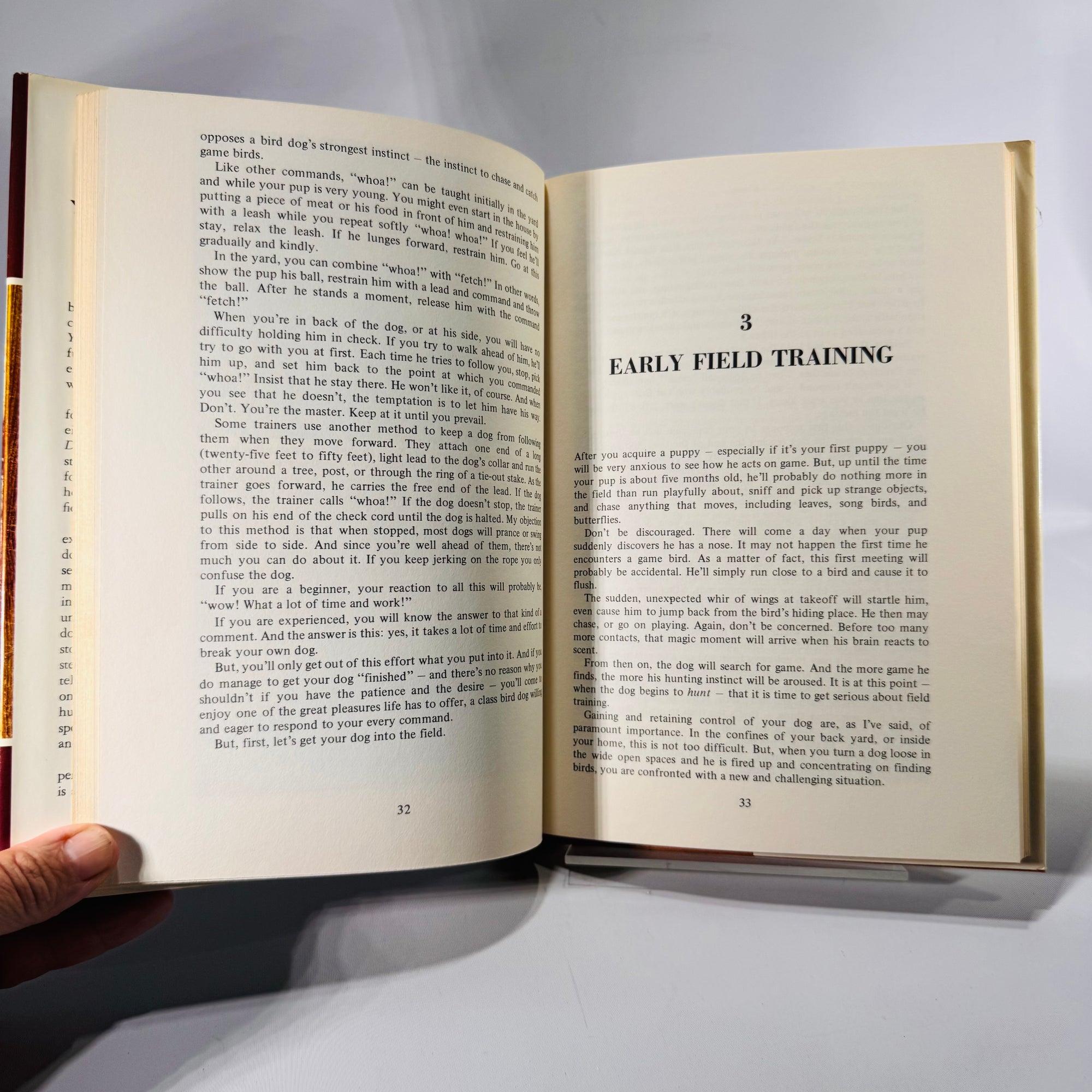 Your Bird Dog and You by Mike Seminatore (1977, Hardcover with Dust Jacket)