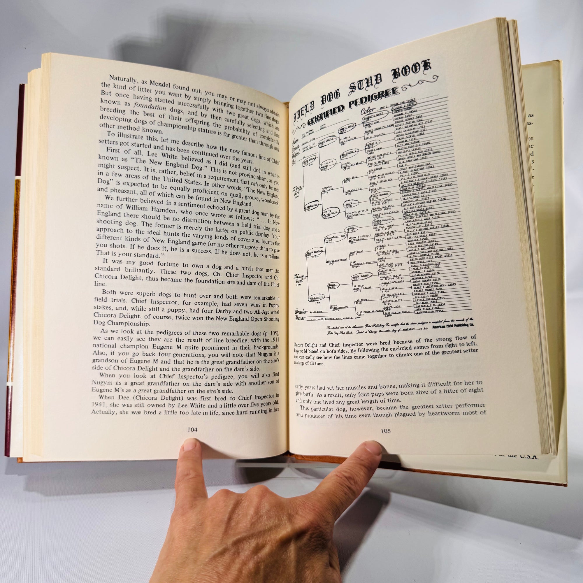 Your Bird Dog and You by Mike Seminatore (1977, Hardcover with Dust Jacket)