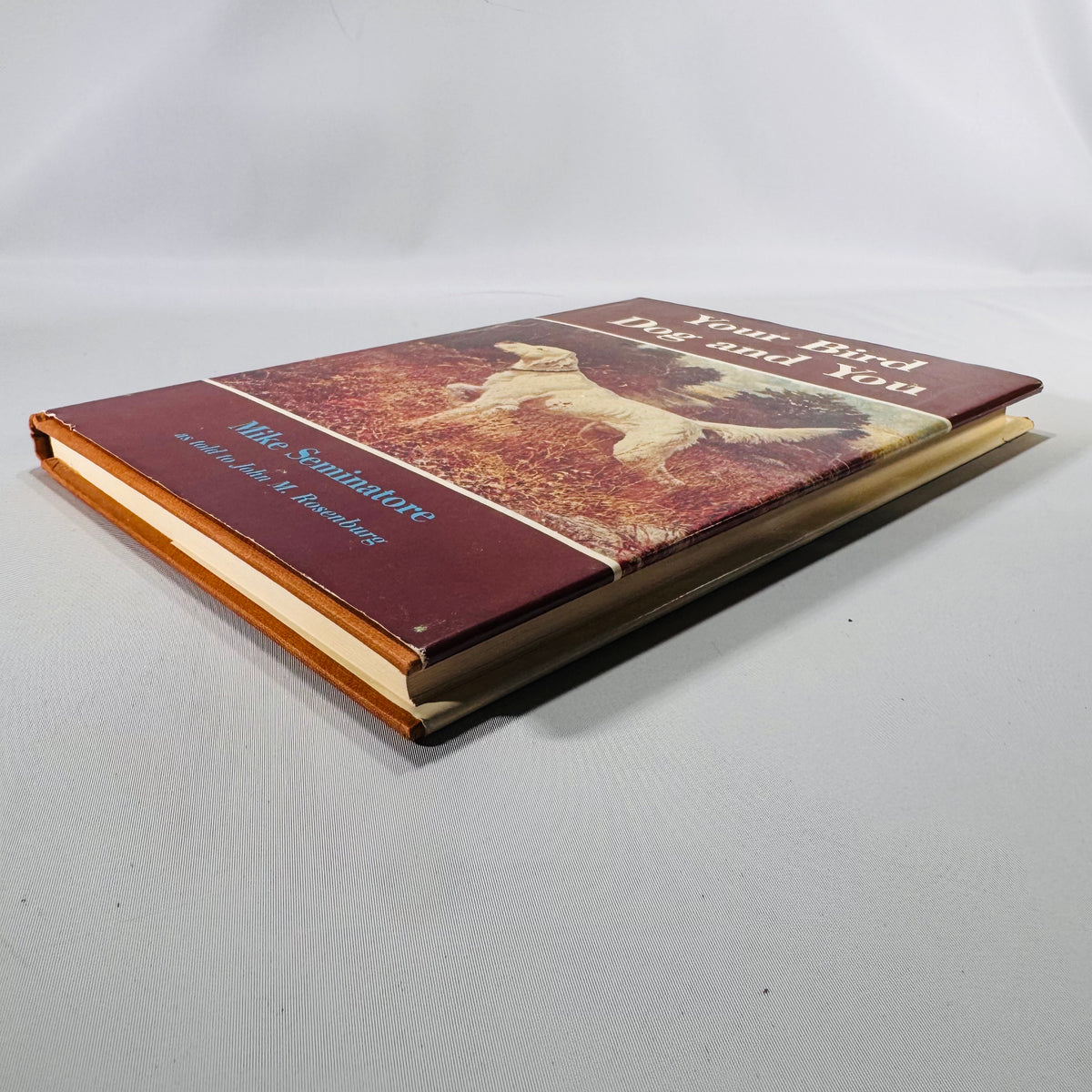 Your Bird Dog and You by Mike Seminatore (1977, Hardcover with Dust Jacket)