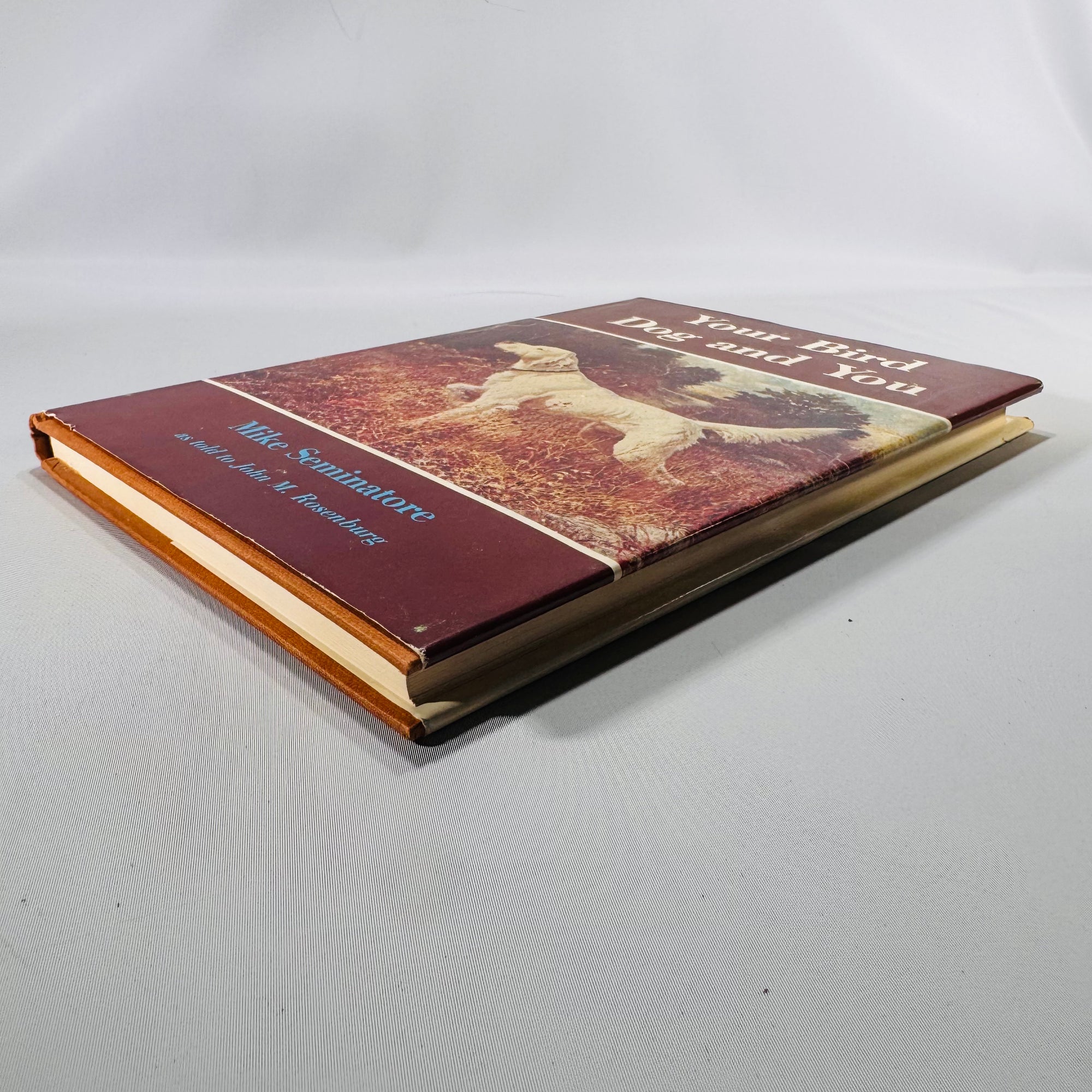 Your Bird Dog and You by Mike Seminatore (1977, Hardcover with Dust Jacket)