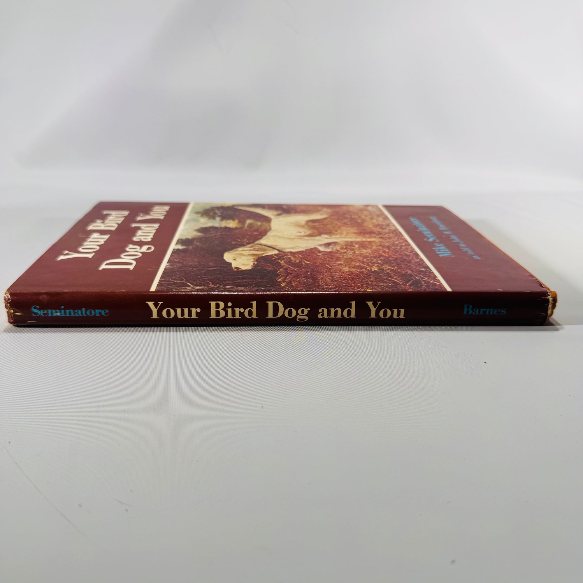 Your Bird Dog and You by Mike Seminatore (1977, Hardcover with Dust Jacket)