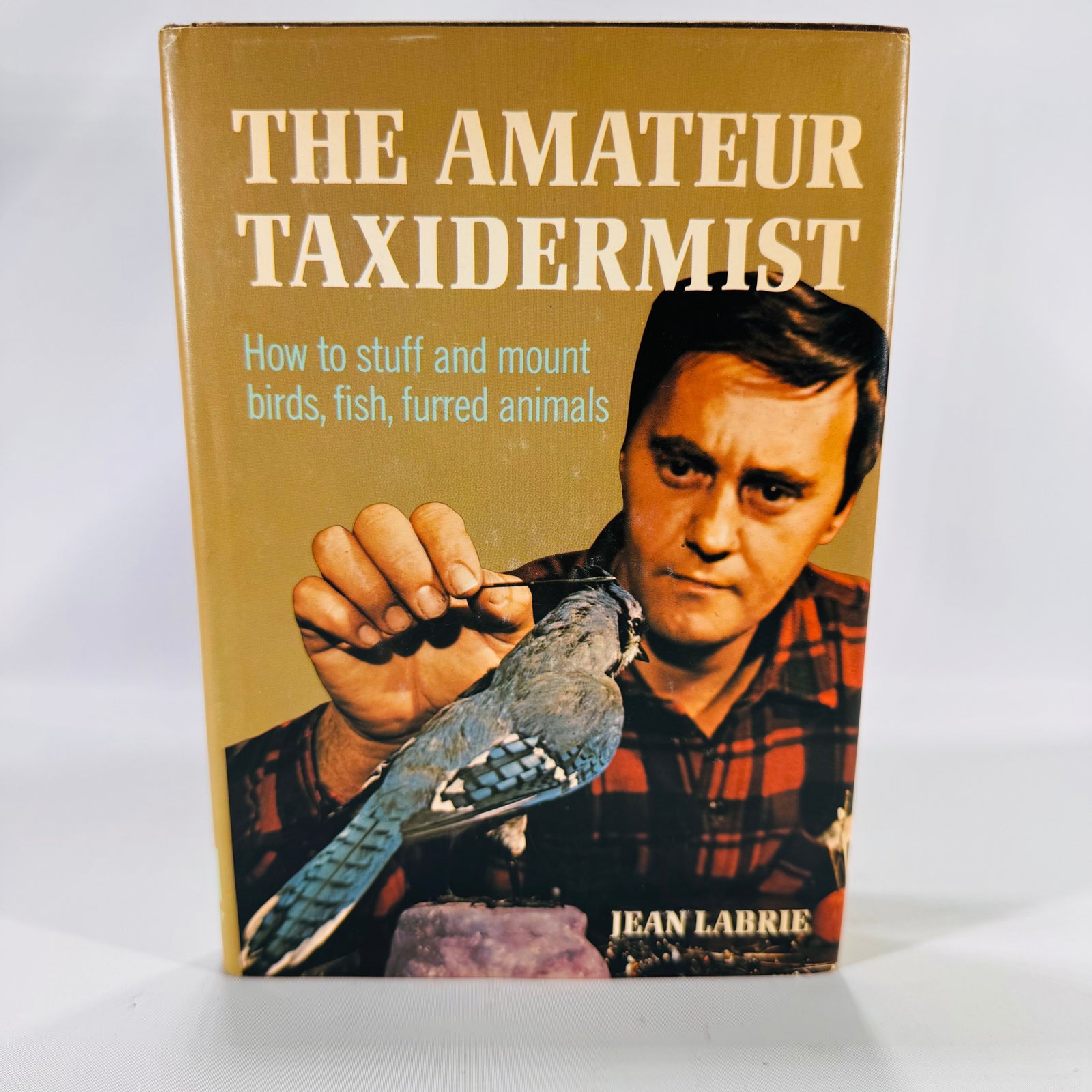 The Amateur Taxidermist by Jean Labrie (1972)