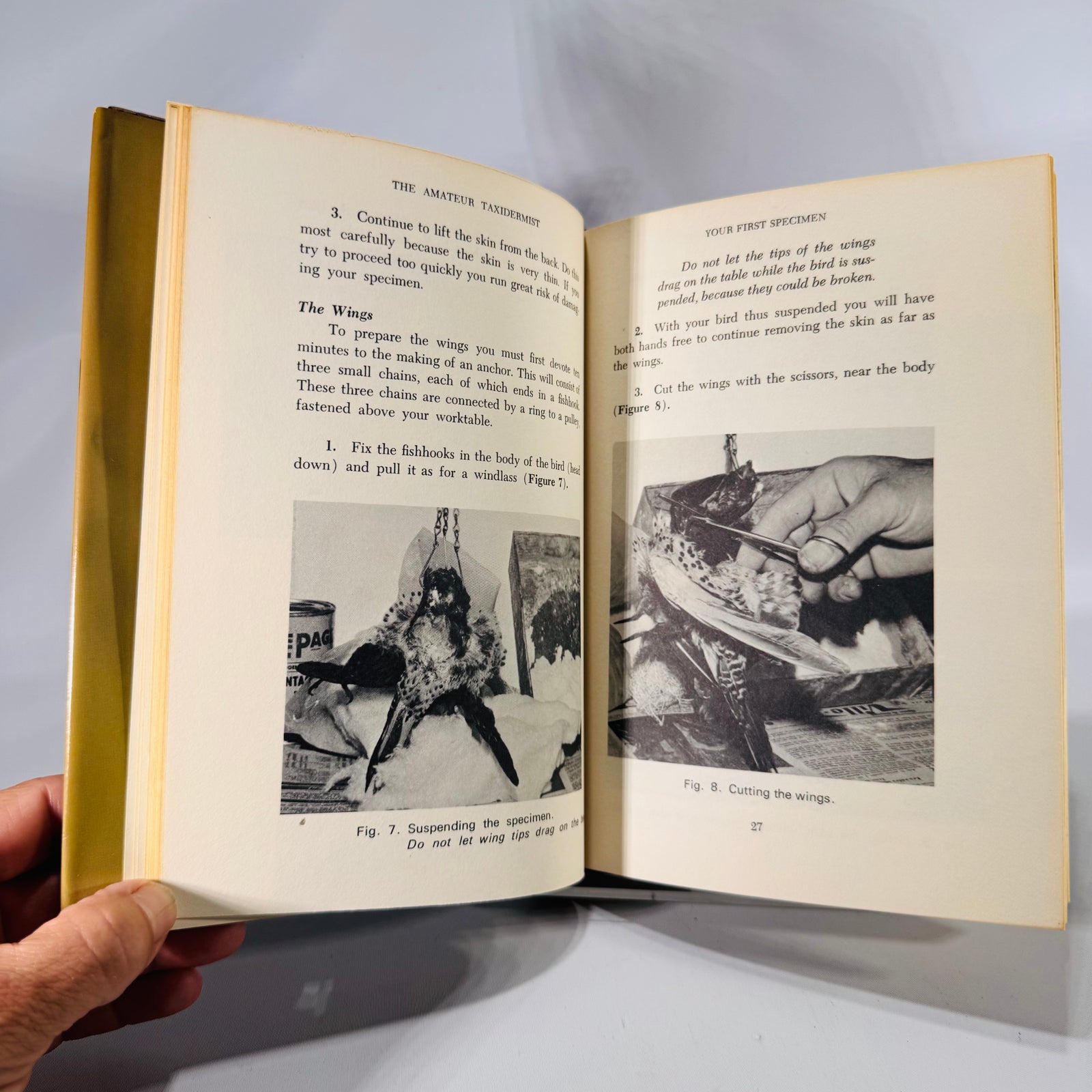 The Amateur Taxidermist by Jean Labrie (1972)