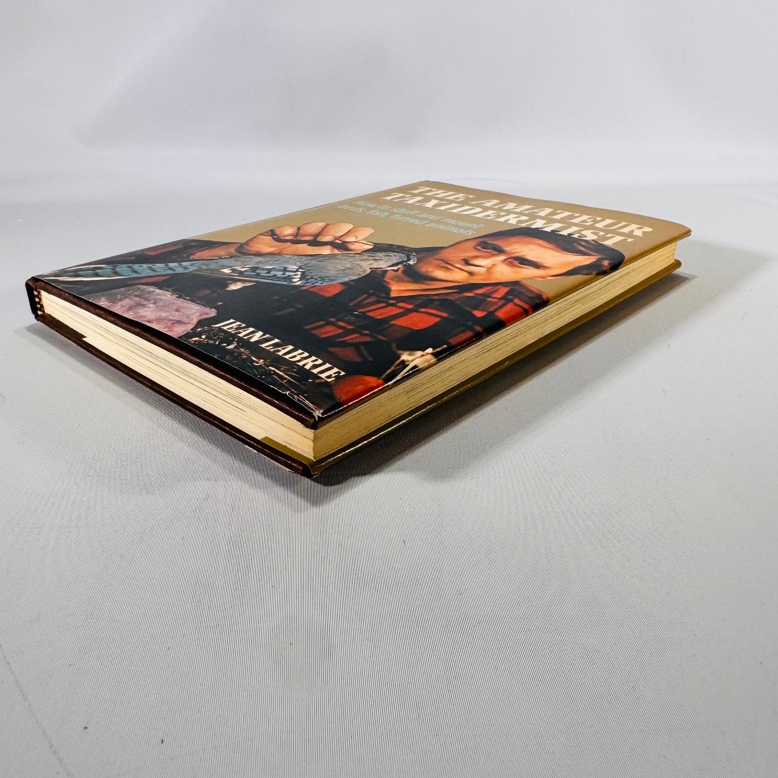 The Amateur Taxidermist by Jean Labrie (1972)