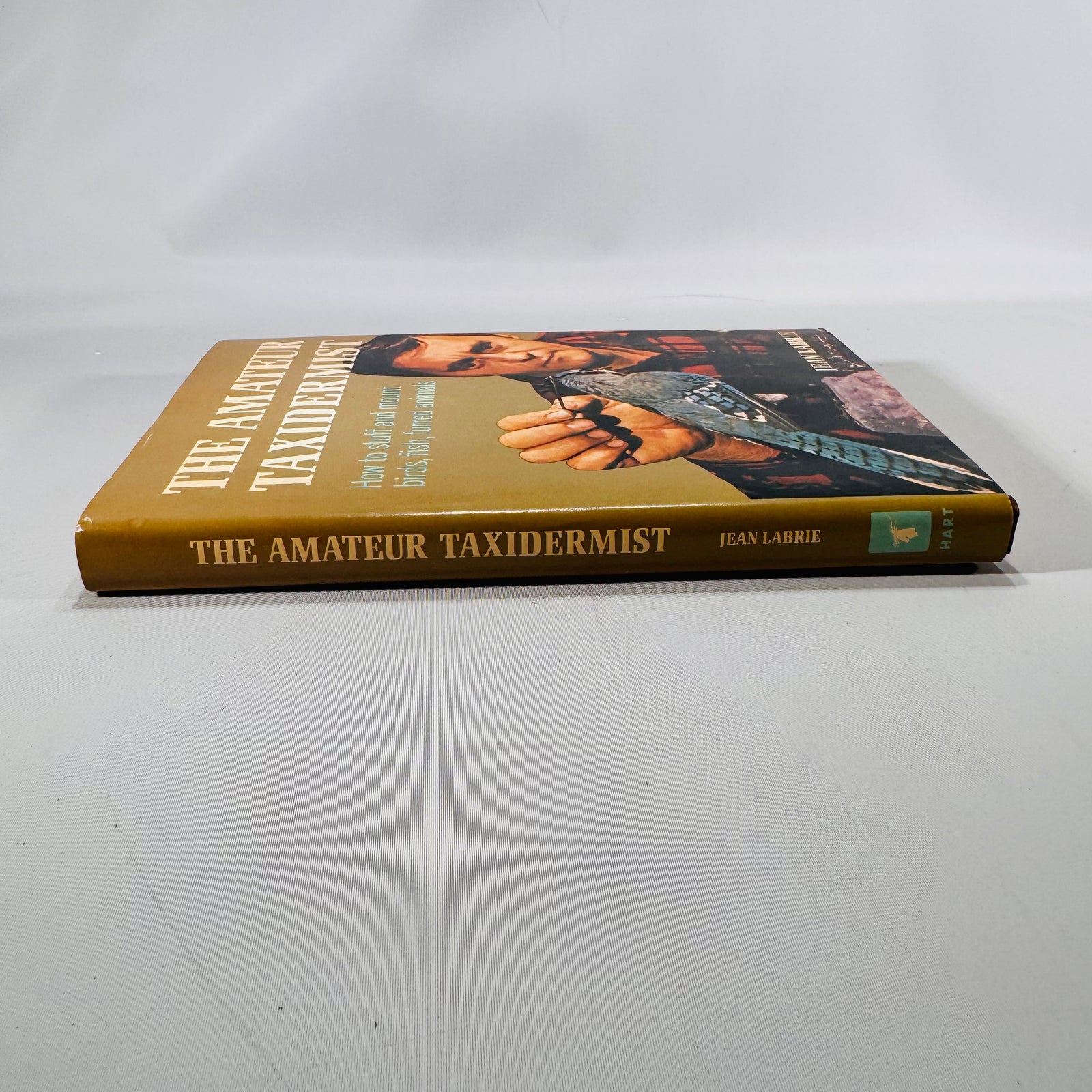 The Amateur Taxidermist by Jean Labrie (1972)