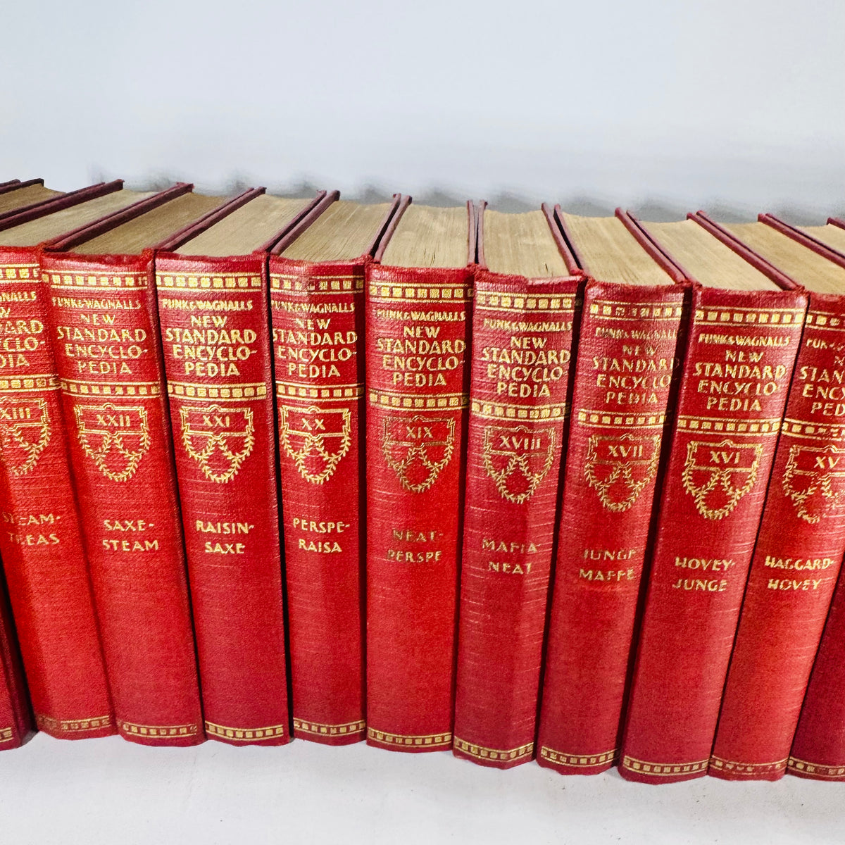 Funk & Wagnalls New Standard Encyclopedia of Universal Knowledge 1931 Complete 25 Volume Set