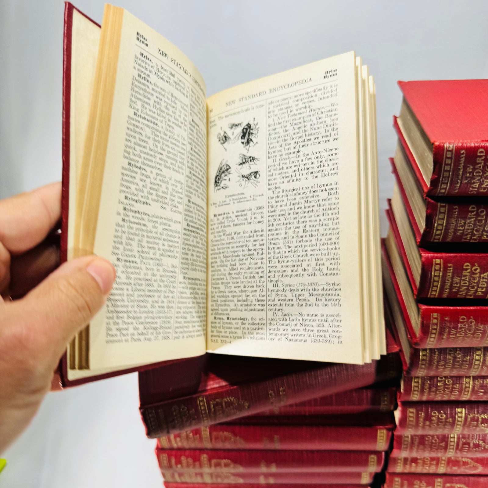 Funk & Wagnalls New Standard Encyclopedia of Universal Knowledge 1931 Complete 25 Volume Set