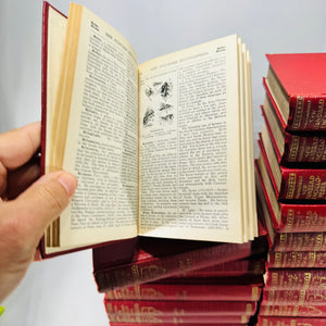 Funk & Wagnalls New Standard Encyclopedia of Universal Knowledge 1931 Complete 25 Volume Set