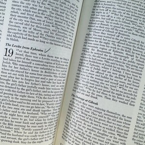 Holy Bible (New American Bible NAB) – Catholic Family Edition | Vintage
