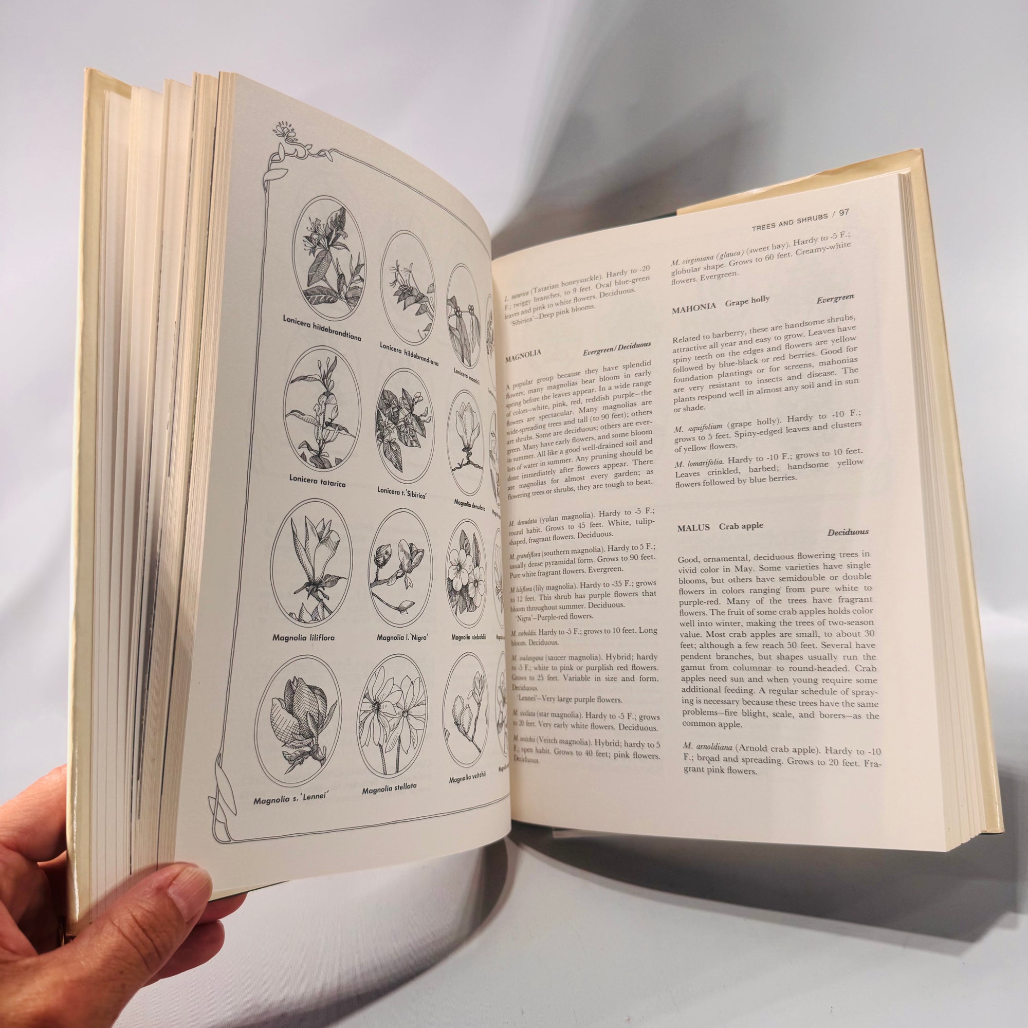 Vintage “1000 Beautiful Garden Plants and How to Grow Them” by Jack Kramer | 1976 Hardcover with Dust Jacket