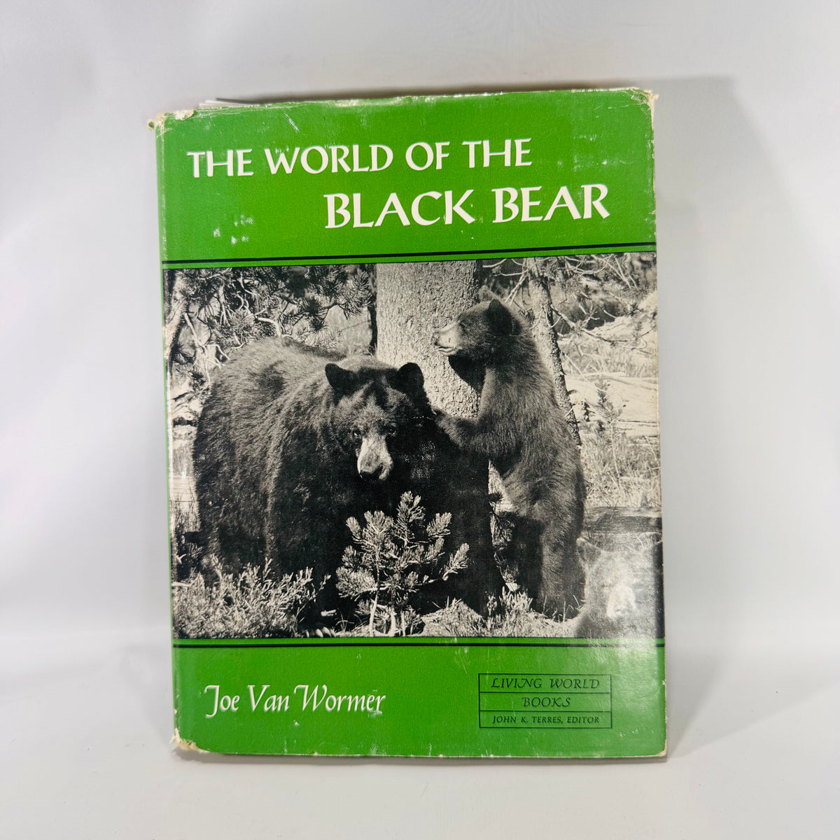 Vintage “The World of the Black Bear” Hardcover 1966 | Joe Van Wormer Wildlife Photography Book | Nature &amp; Ecology Collector’s Edition