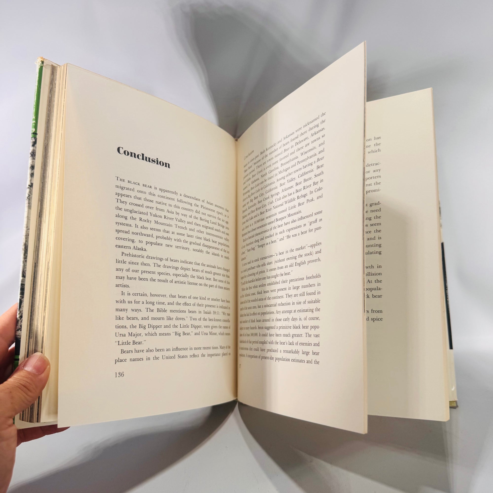 Vintage “The World of the Black Bear” Hardcover 1966 | Joe Van Wormer Wildlife Photography Book | Nature & Ecology Collector’s Edition