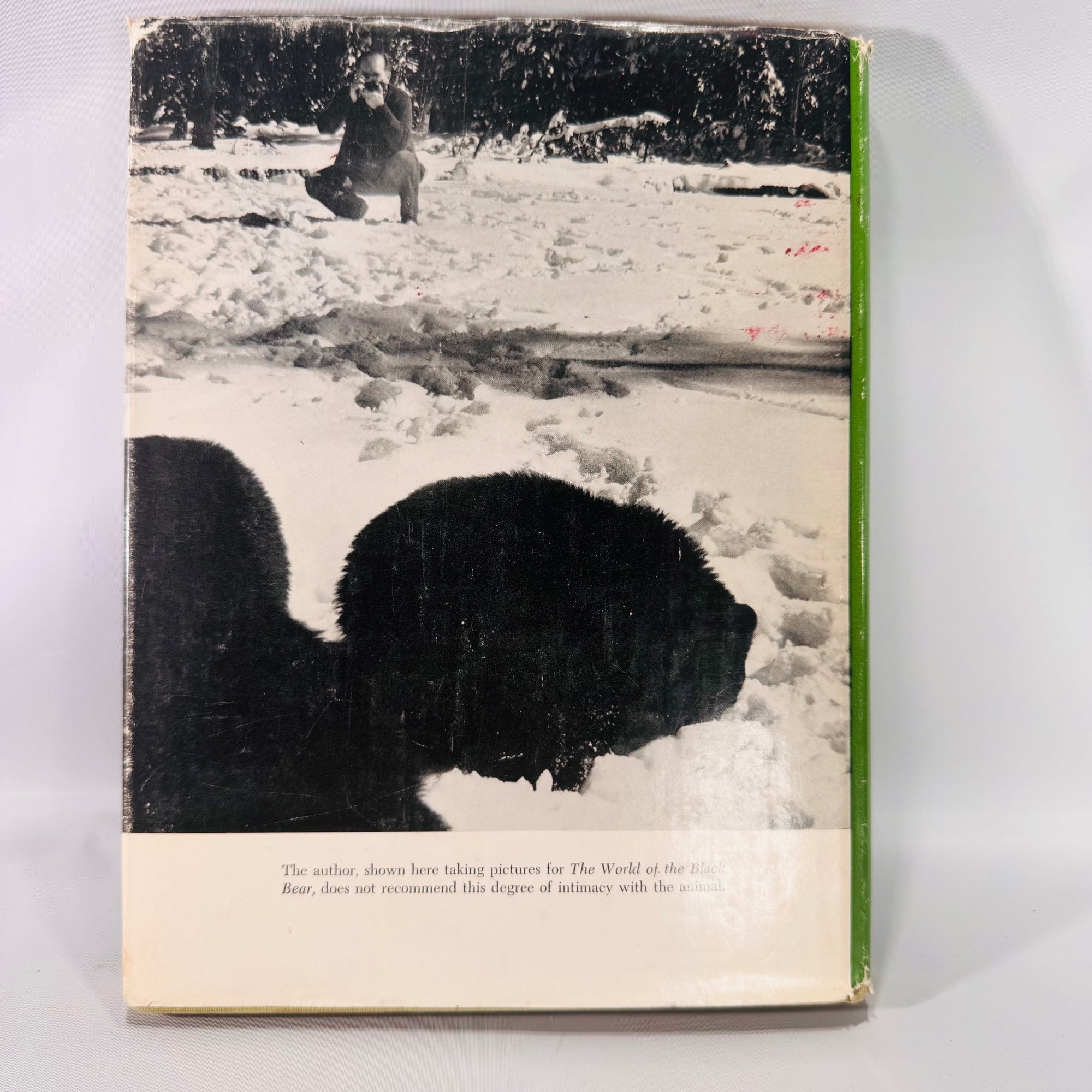 Vintage “The World of the Black Bear” Hardcover 1966 | Joe Van Wormer Wildlife Photography Book | Nature & Ecology Collector’s Edition