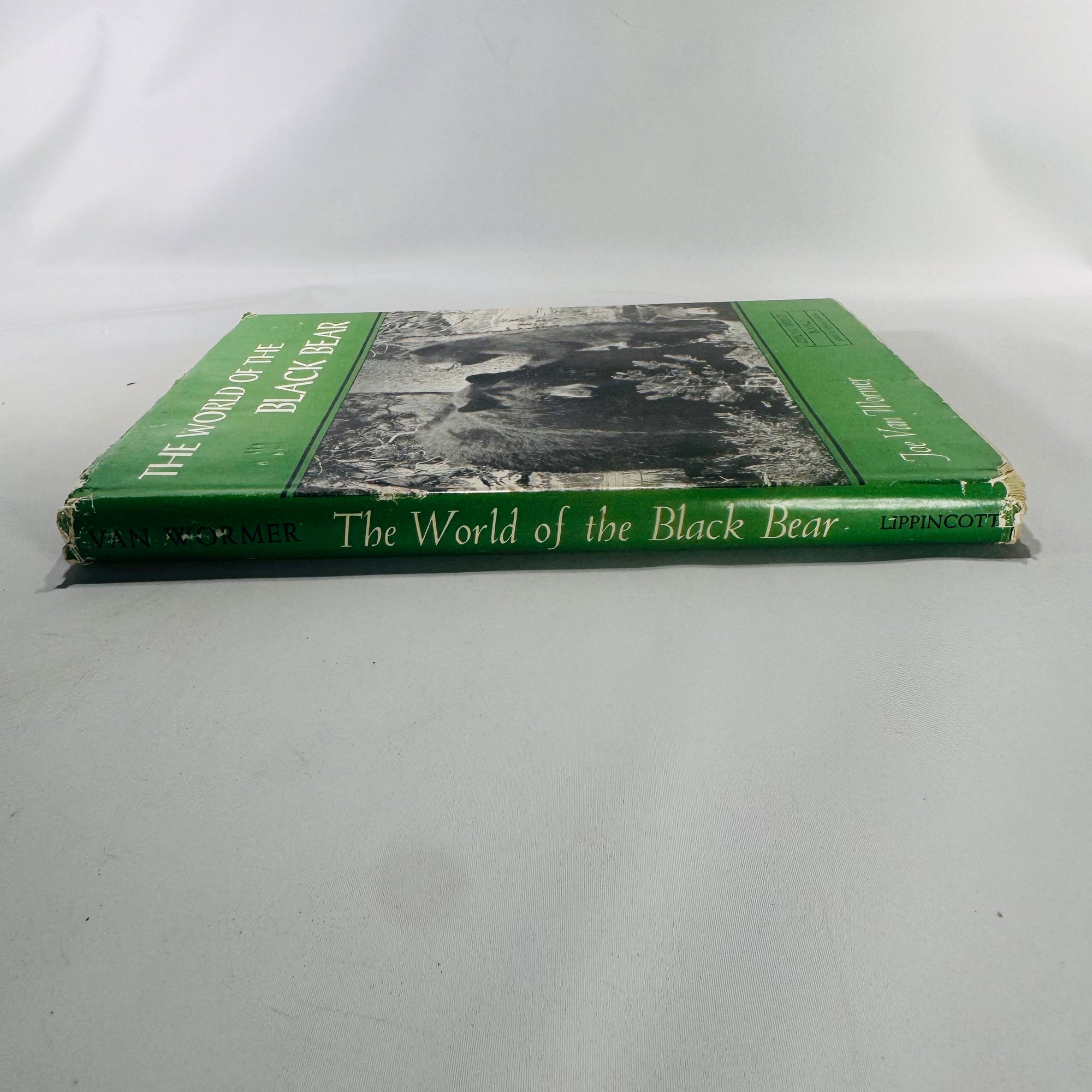 Vintage “The World of the Black Bear” Hardcover 1966 | Joe Van Wormer Wildlife Photography Book | Nature & Ecology Collector’s Edition