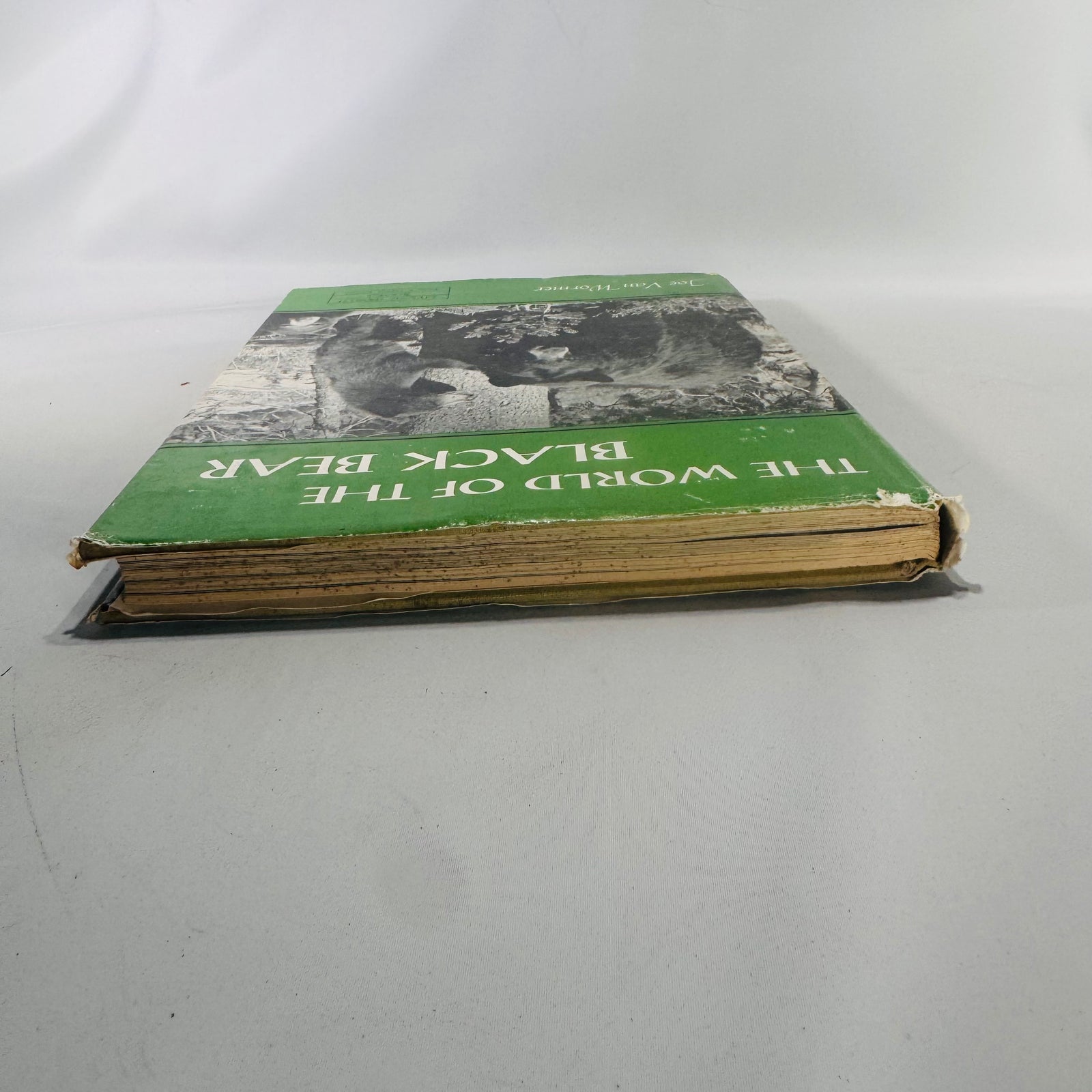 Vintage “The World of the Black Bear” Hardcover 1966 | Joe Van Wormer Wildlife Photography Book | Nature & Ecology Collector’s Edition