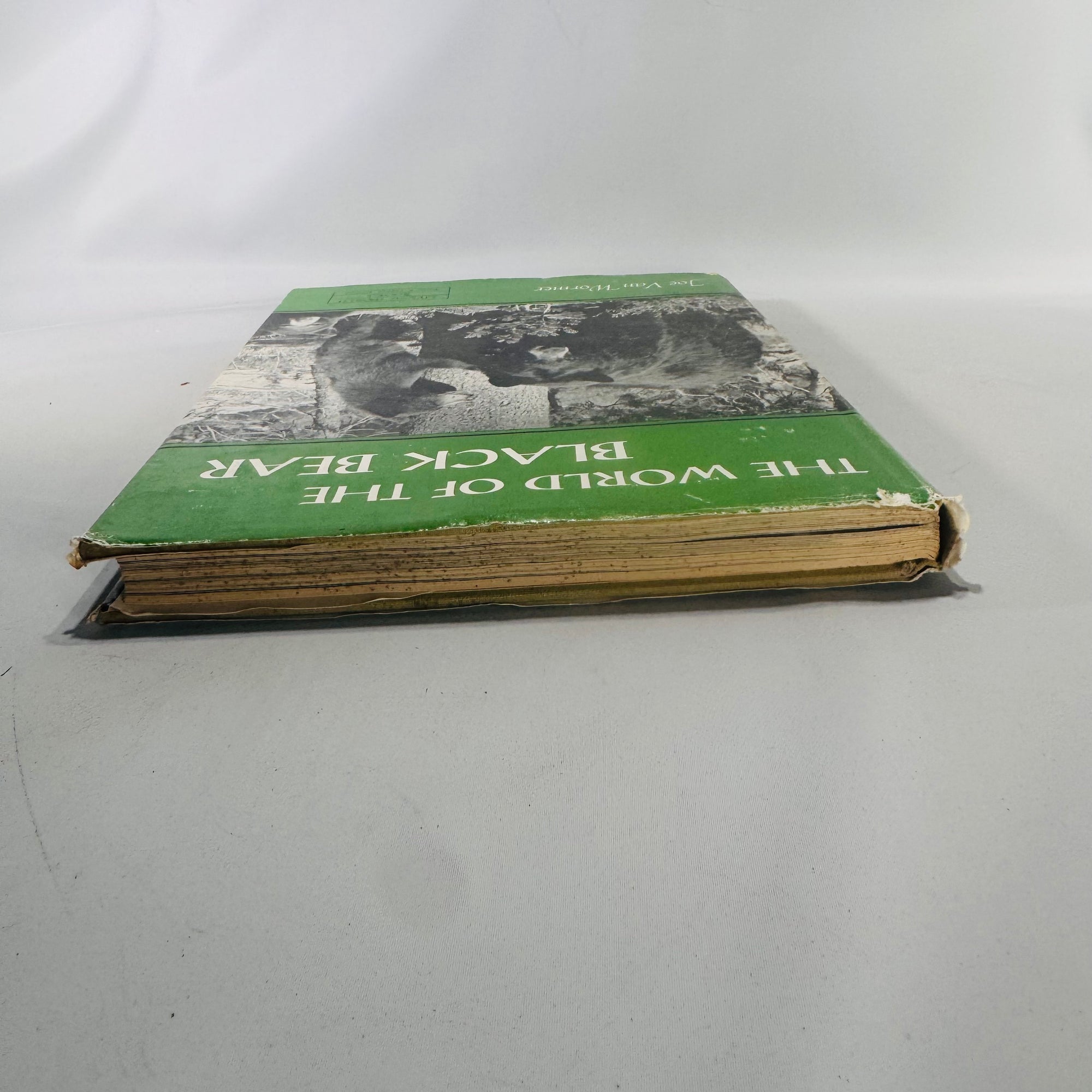 Vintage “The World of the Black Bear” Hardcover 1966 | Joe Van Wormer Wildlife Photography Book | Nature & Ecology Collector’s Edition