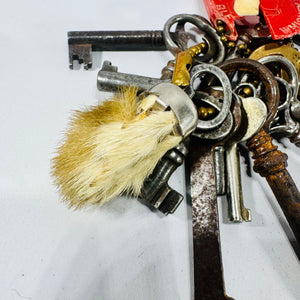 Vintage Skeleton Key Lot Rabbit Foot Seven Crown Keychain
