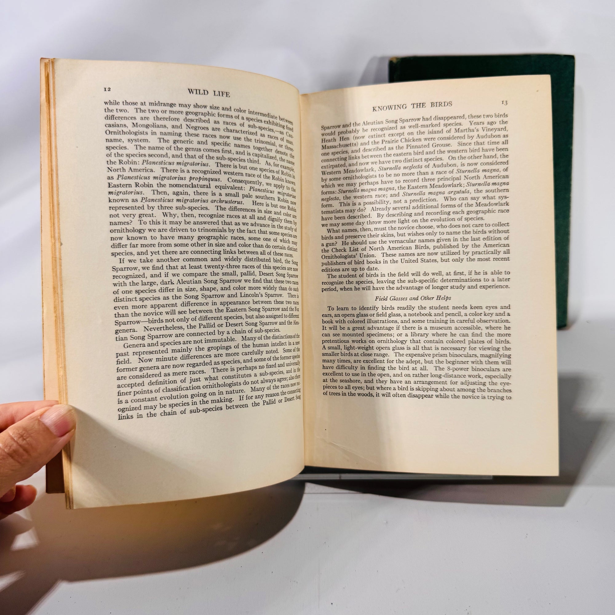 The Nature Encyclopedia 2-Volume Set (1921–1927) by G. Clyde Fisher | Vintage Natural History Books with Illustrations