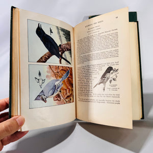 The Nature Encyclopedia 2-Volume Set (1921–1927) by G. Clyde Fisher | Vintage Natural History Books with Illustrations