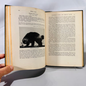 The Nature Encyclopedia 2-Volume Set (1921–1927) by G. Clyde Fisher | Vintage Natural History Books with Illustrations