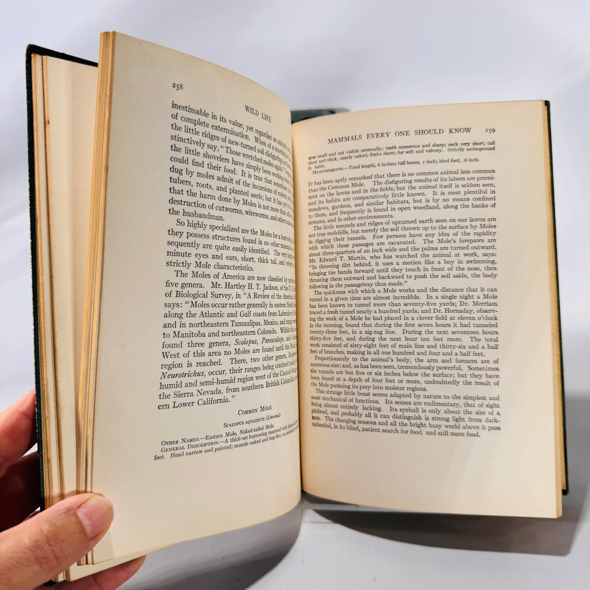 The Nature Encyclopedia 2-Volume Set (1921–1927) by G. Clyde Fisher | Vintage Natural History Books with Illustrations