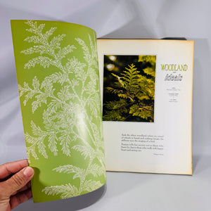 Woodland Ideals Vol. 29 No. 4 (July 1972) | Vintage Nature Poetry & Photography | Paperback