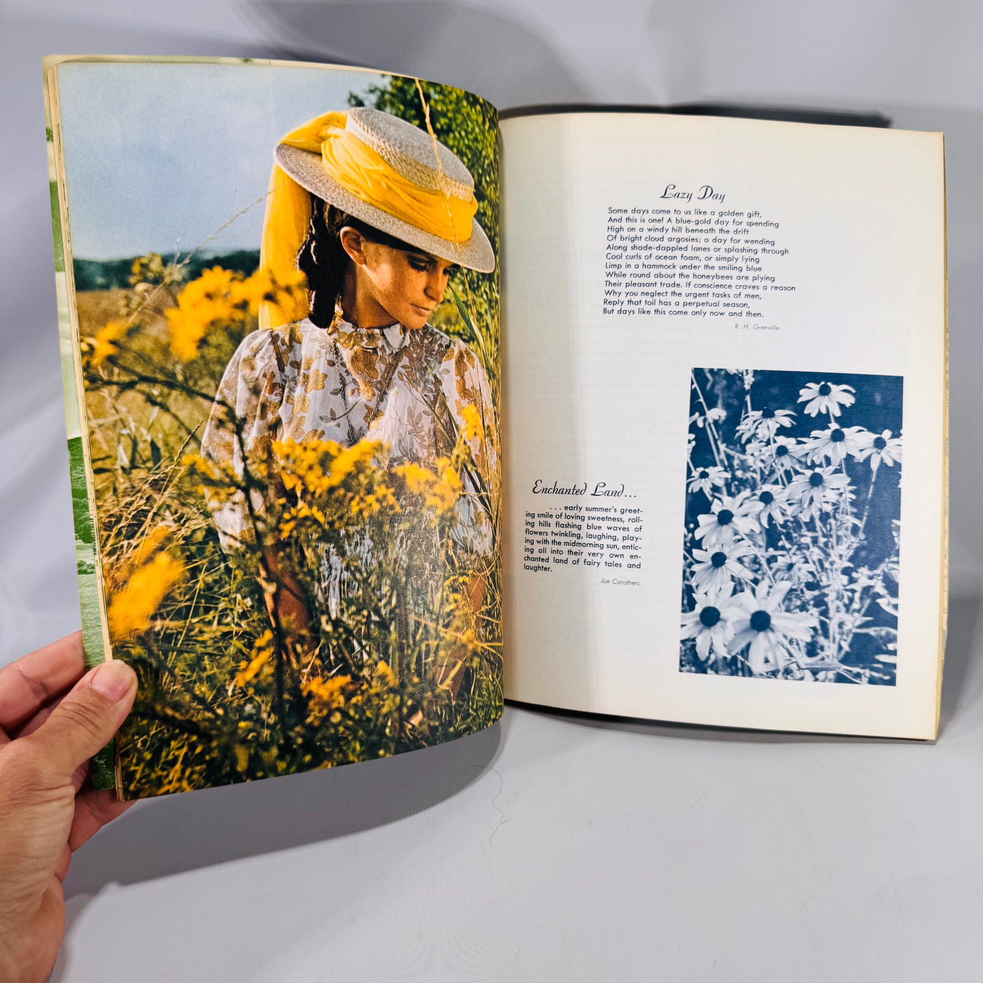 Woodland Ideals Vol. 29 No. 4 (July 1972) | Vintage Nature Poetry & Photography | Paperback