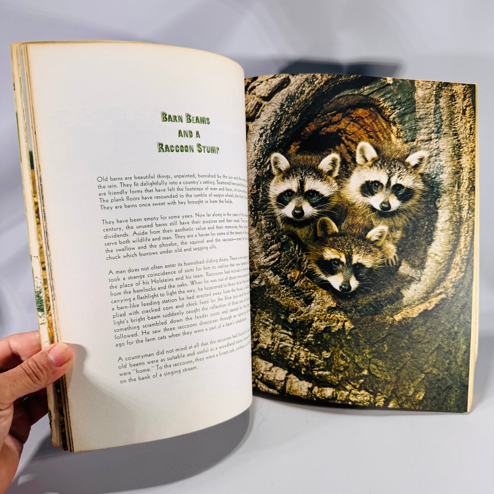 Woodland Ideals Vol. 29 No. 4 (July 1972) | Vintage Nature Poetry & Photography | Paperback