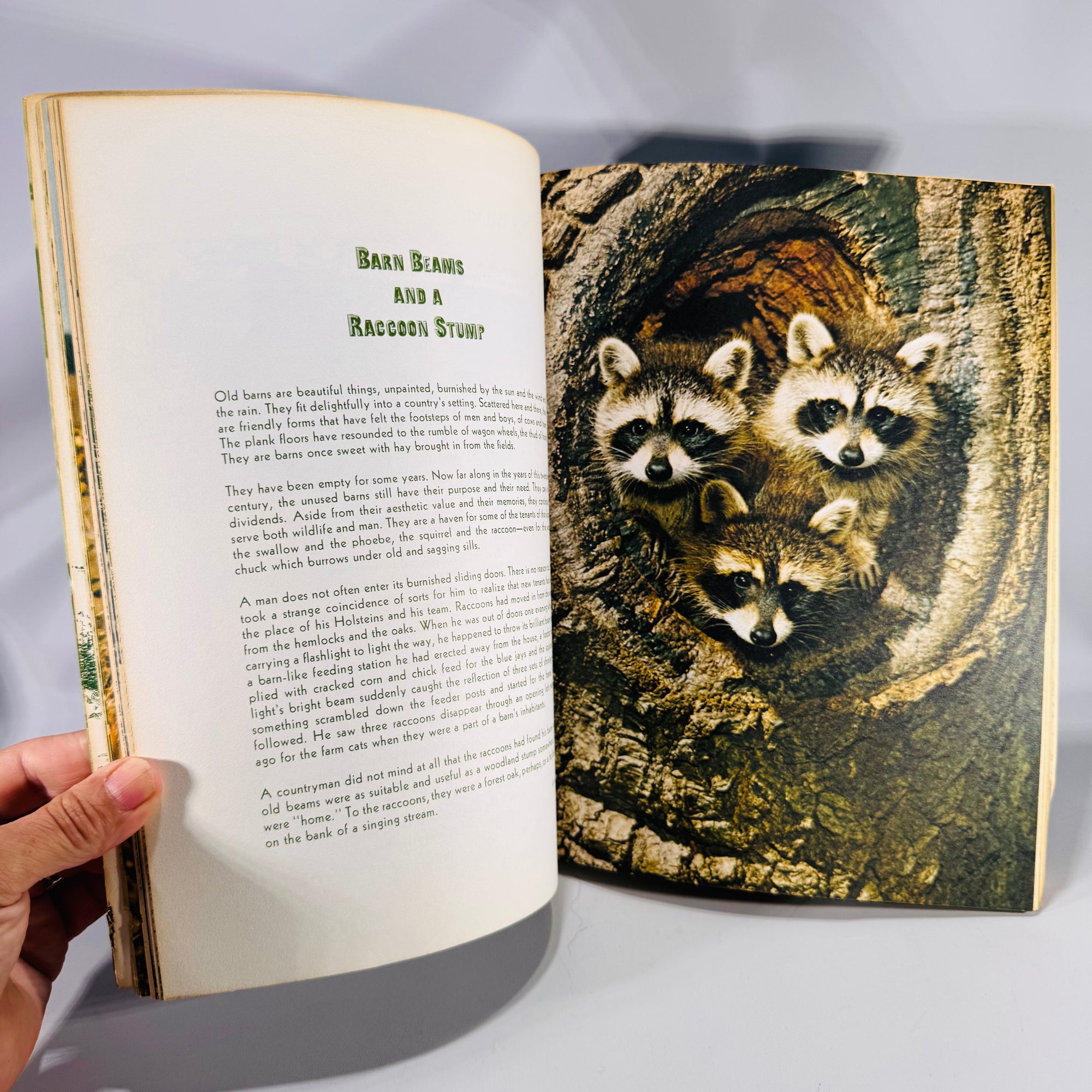 Woodland Ideals Vol. 29 No. 4 (July 1972) | Vintage Nature Poetry & Photography | Paperback