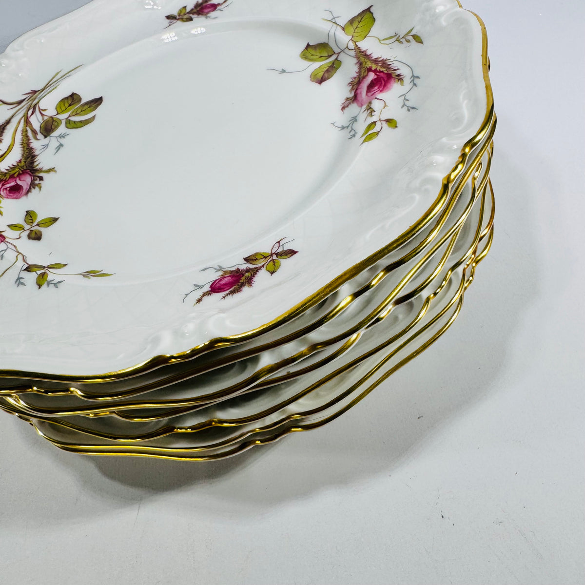Royal Heidelberg Winterling Rose Brier 8 Inch Plates Set of 8