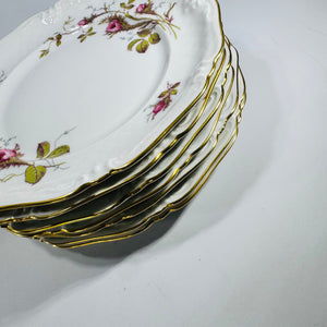 Royal Heidelberg Winterling Rose Brier 8 Inch Plates Set of 8