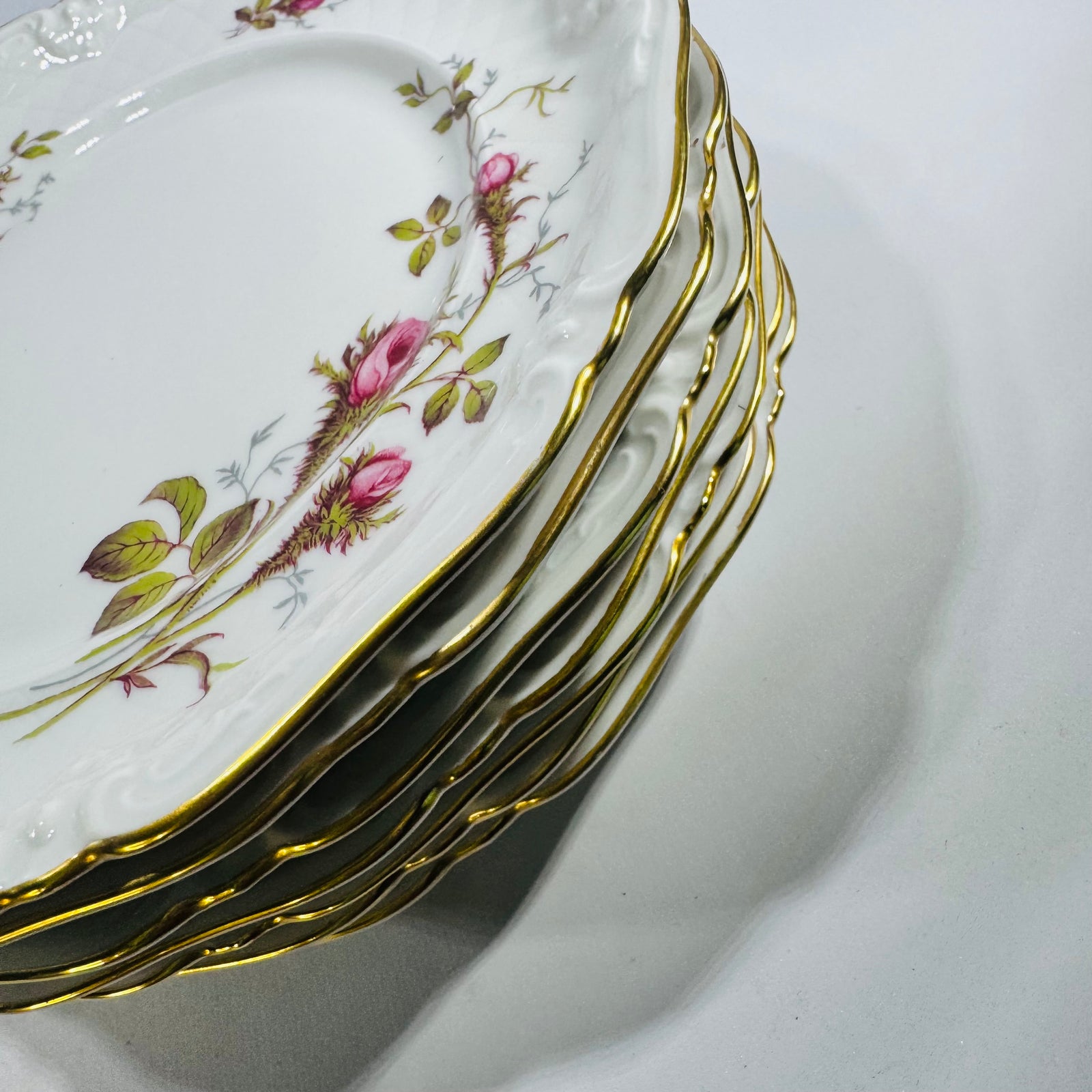 Royal Heidelberg Winterling Rose Brier 8 Inch Plates Set of 8