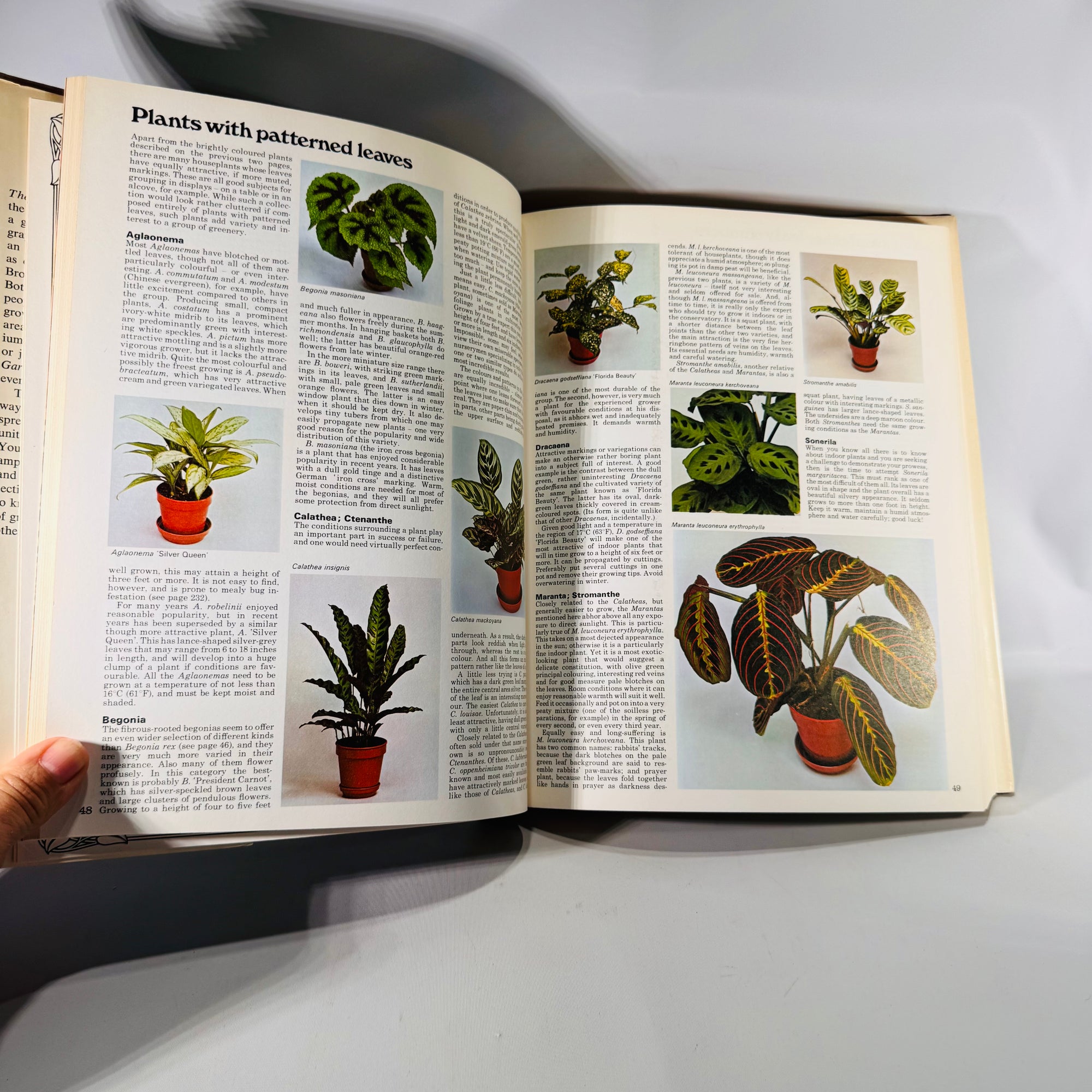 The Complete Indoor Gardener by Diana Yakeley | 1980 Vintage Houseplant Book | Indoor Plant Decor Guide | Gardening Gift