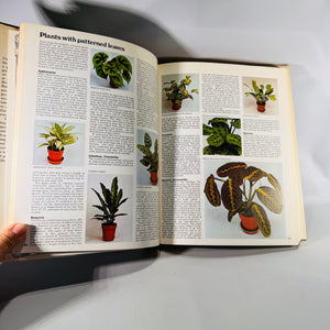 The Complete Indoor Gardener by Diana Yakeley | 1980 Vintage Houseplant Book | Indoor Plant Decor Guide | Gardening Gift