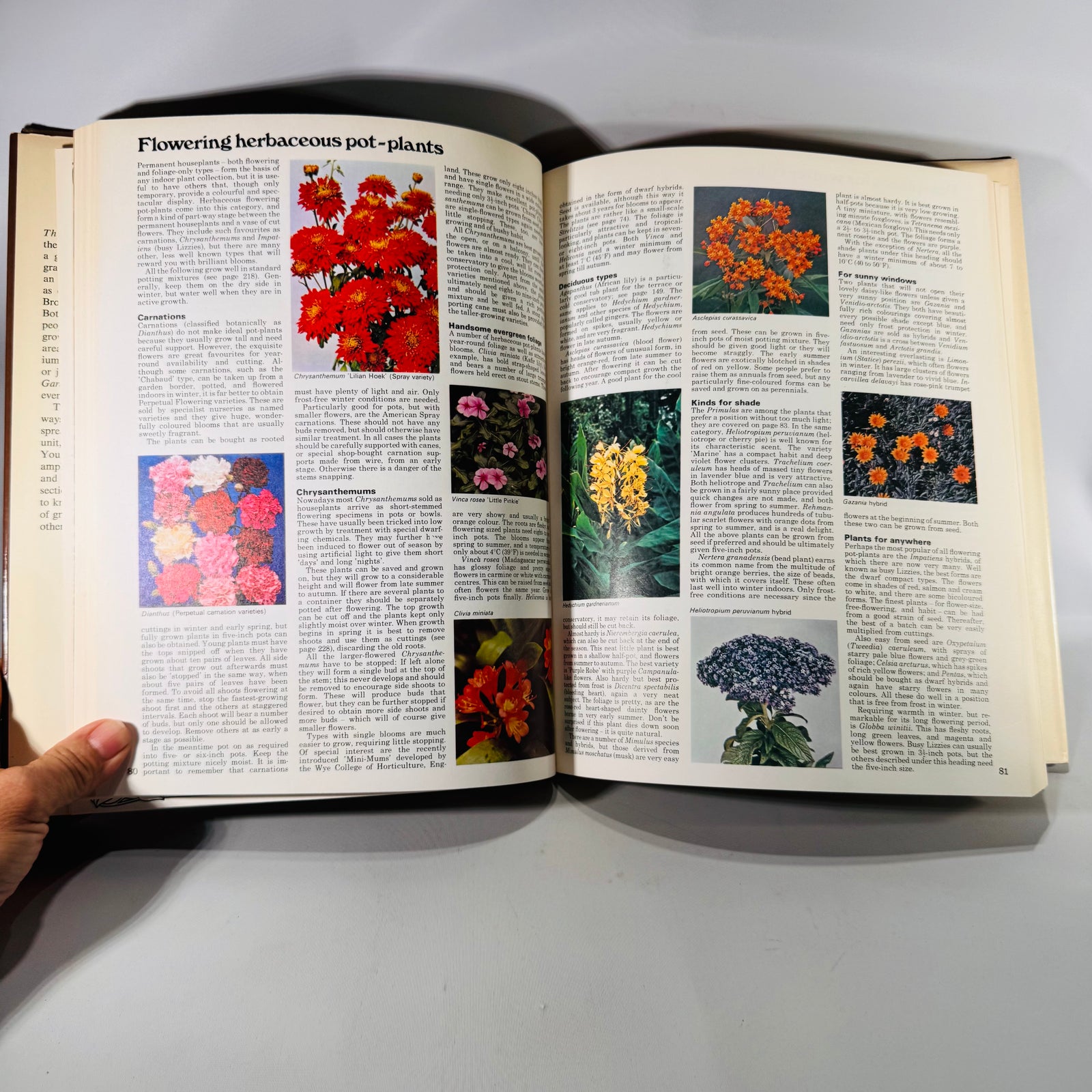 The Complete Indoor Gardener by Diana Yakeley | 1980 Vintage Houseplant Book | Indoor Plant Decor Guide | Gardening Gift