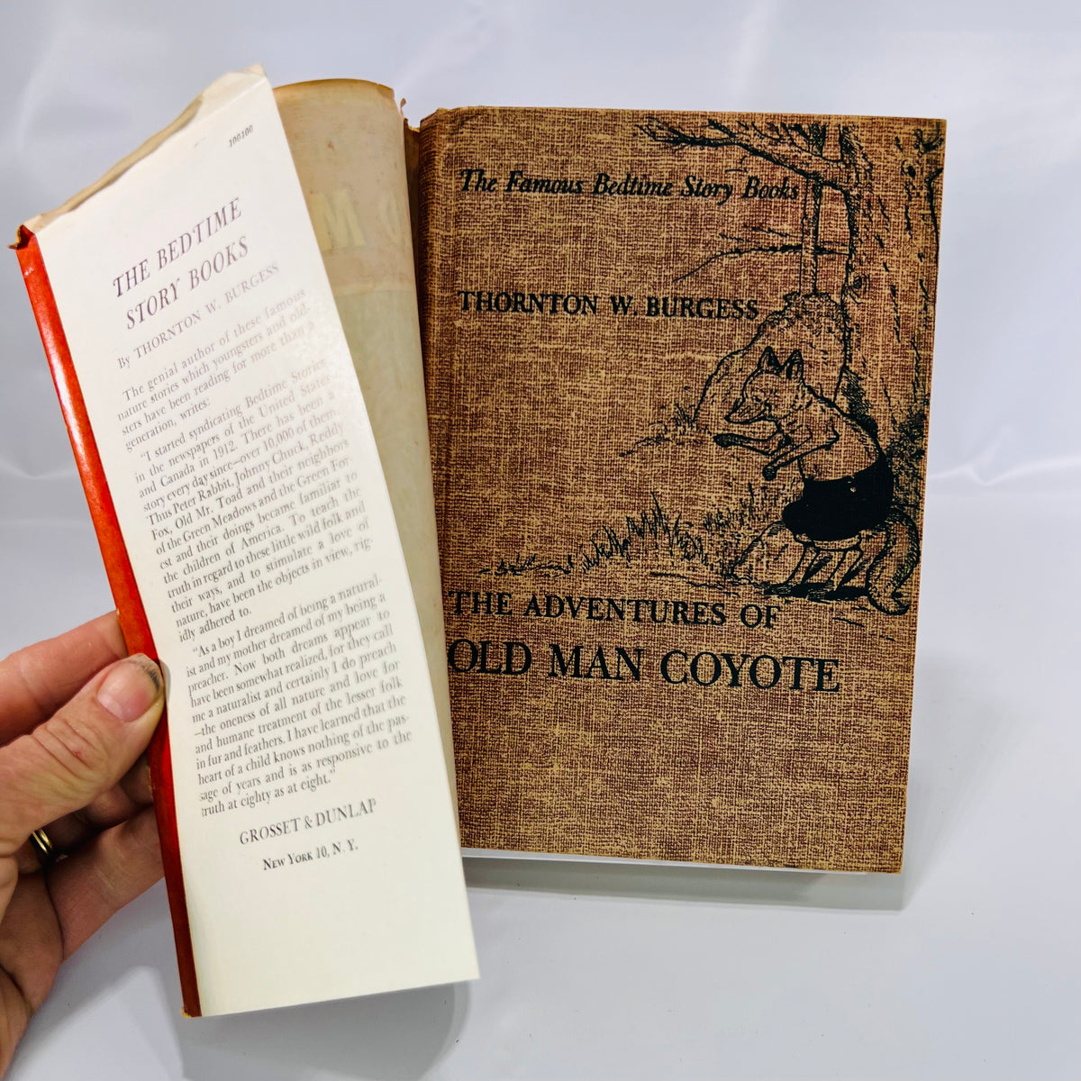 Jacket flap beside the printed tan cloth cover, The Adventures of Old Man Coyote