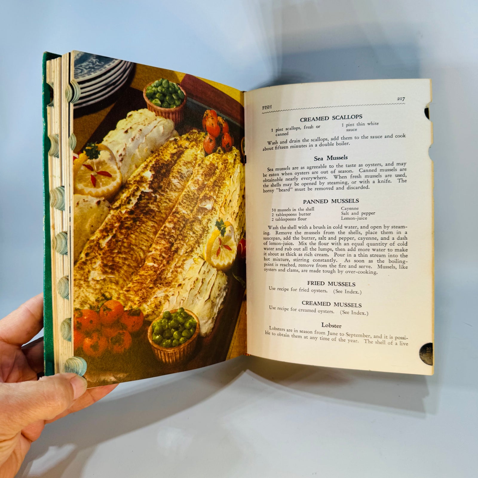 Vintage Cookbook Classic Recipes — The American Woman’s Cook Book 1941 — Ruth Berolzheimer | Tabbed Kitchen Reference, Home Cooking