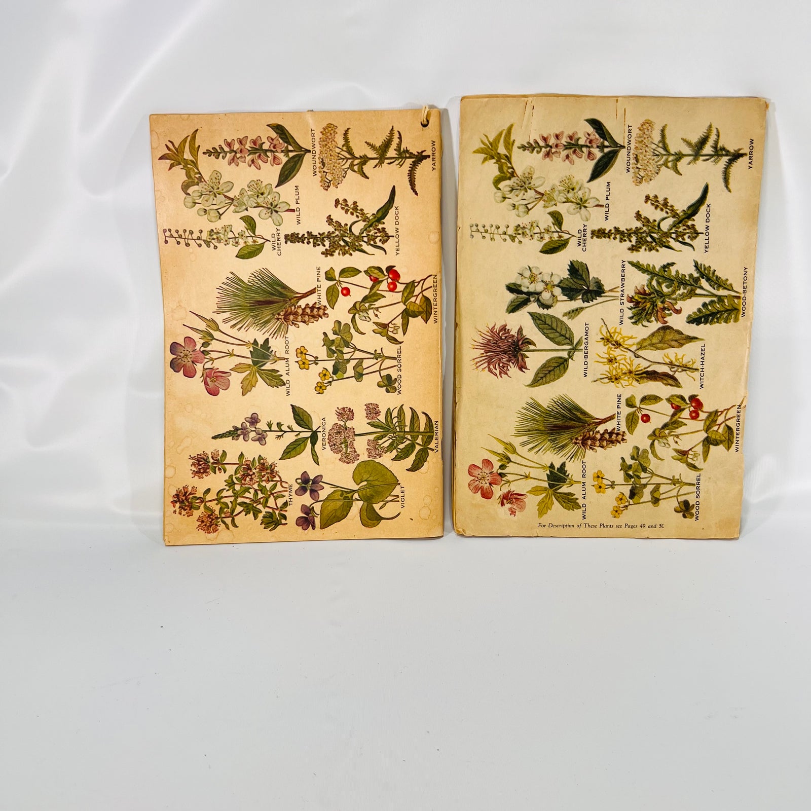 The Herbalist Almanac by the Indiana Botanic Gardens, 1932 & 1961 Editions