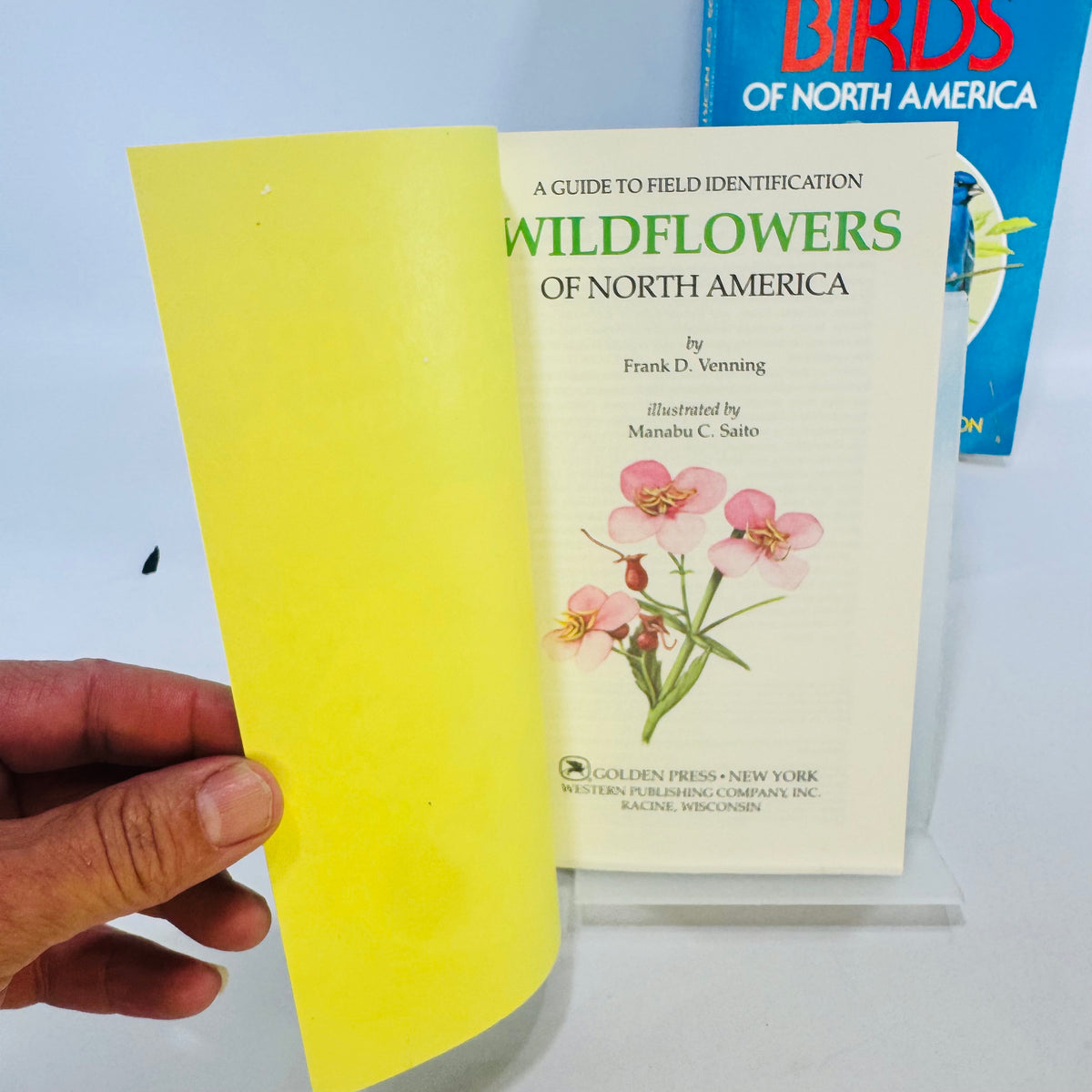 Birds & Wildflowers of North America Golden Field Guides Bundle