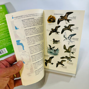 Birds & Wildflowers of North America Golden Field Guides Bundle