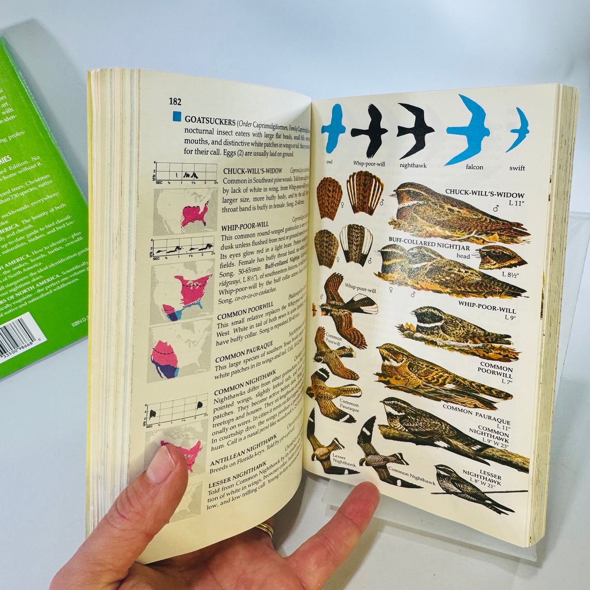 Birds & Wildflowers of North America Golden Field Guides Bundle