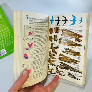 Birds & Wildflowers of North America Golden Field Guides Bundle