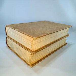 British History Reference Set — The Historians’ History of the World Vol. XVIII and XIX 1907 — Henry Smith Williams | England to 1485 and England 1485-1642,  British History