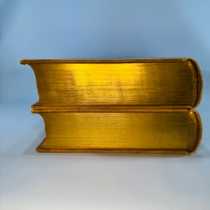 British History Reference Set — The Historians’ History of the World Vol. XVIII and XIX 1907 — Henry Smith Williams | England to 1485 and England 1485-1642,  British History